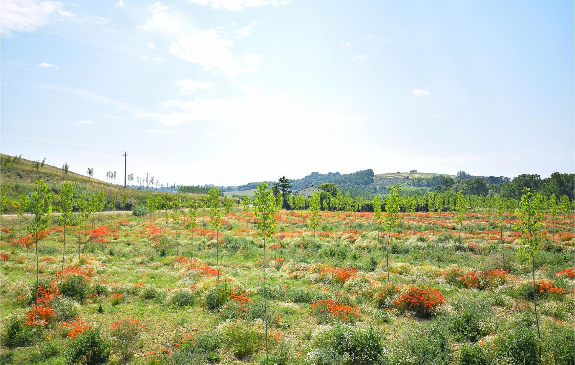 Awesome Home In Montefoscoli With Wifi ภายนอก รูปภาพ
